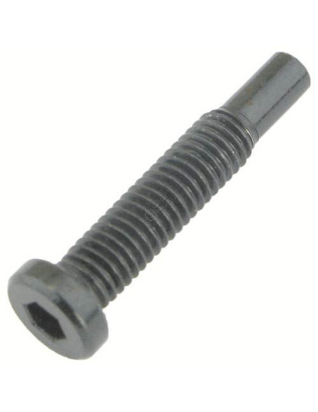 FT-12 - Vis 10/32 LHSHCS -...