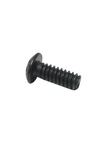 SW1 Grip Screw 17