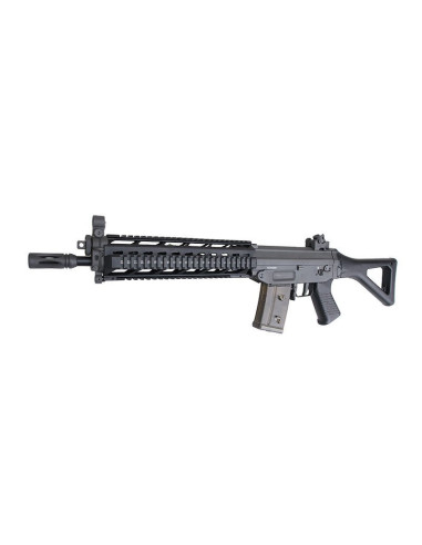 SIG 552 Long RIS  AEG - Complet -...