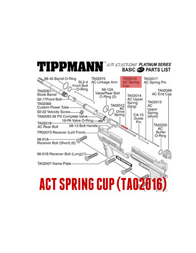 ACT spring cup-11693