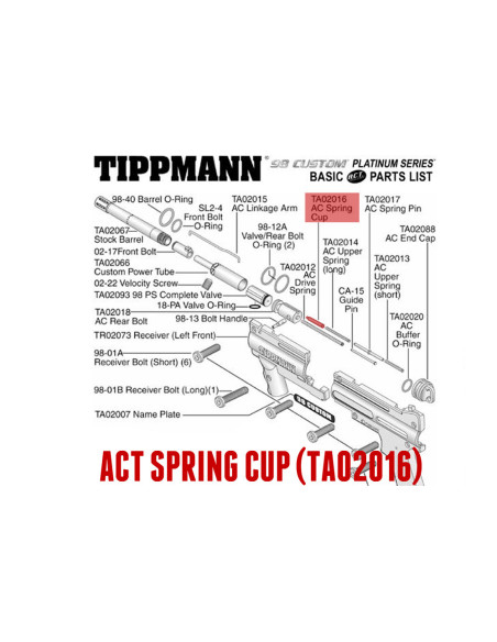ACT spring cup-11693