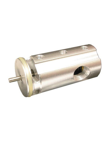 BT-4 Valve Complete 19382