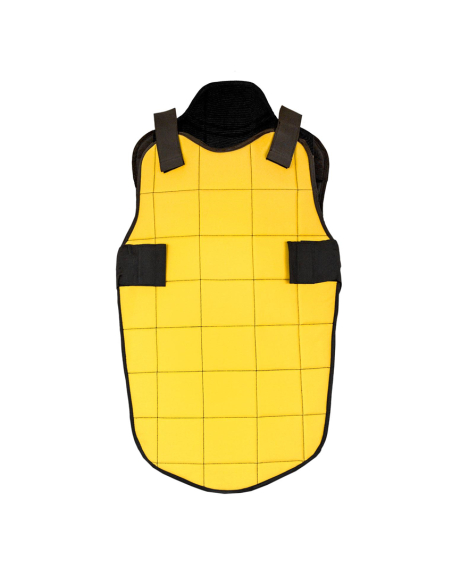 Plastron de Protection Long...