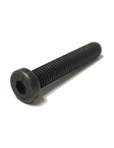 BT4 Vis de corps Longue 36...