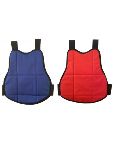 Plastron Enfant  Reversible BLEU ET...