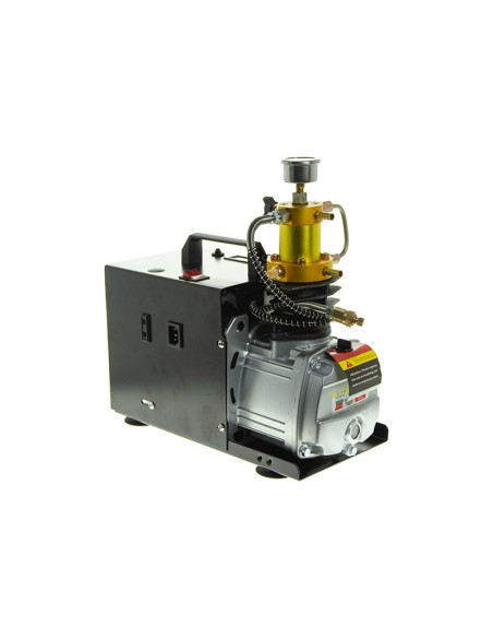 Compresseur Electric 4500...