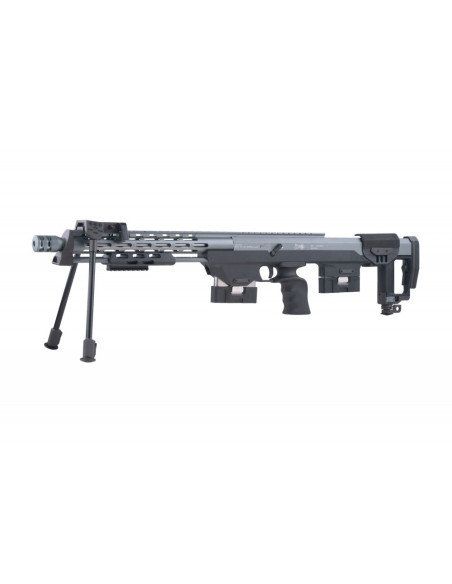Fusil de sniper DSR1...