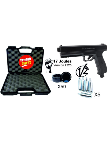 Pack complet Pistolet Défense VESTA...